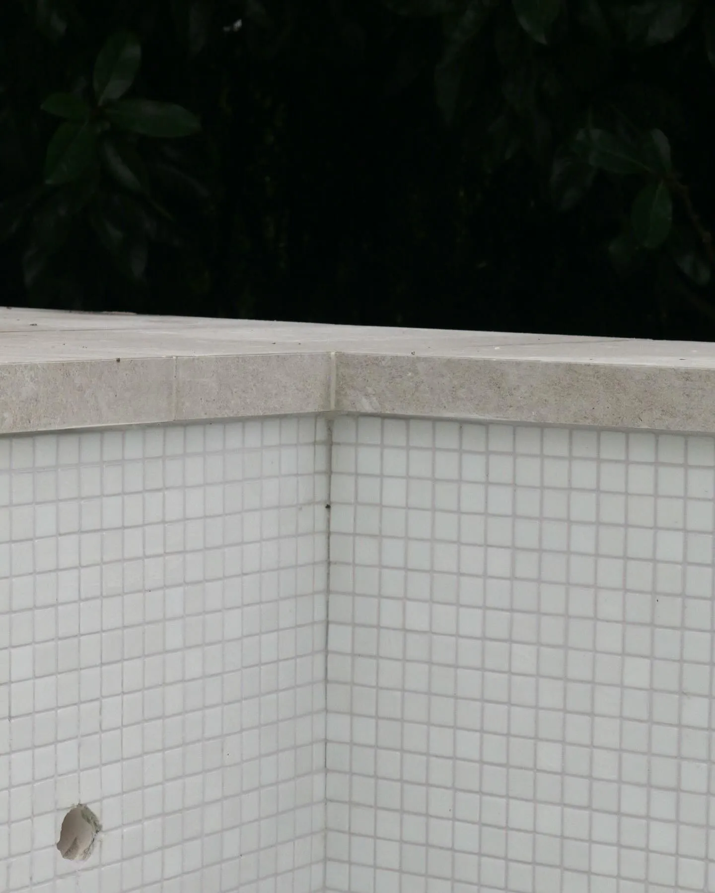 Mosaic Pool in Forrest 5